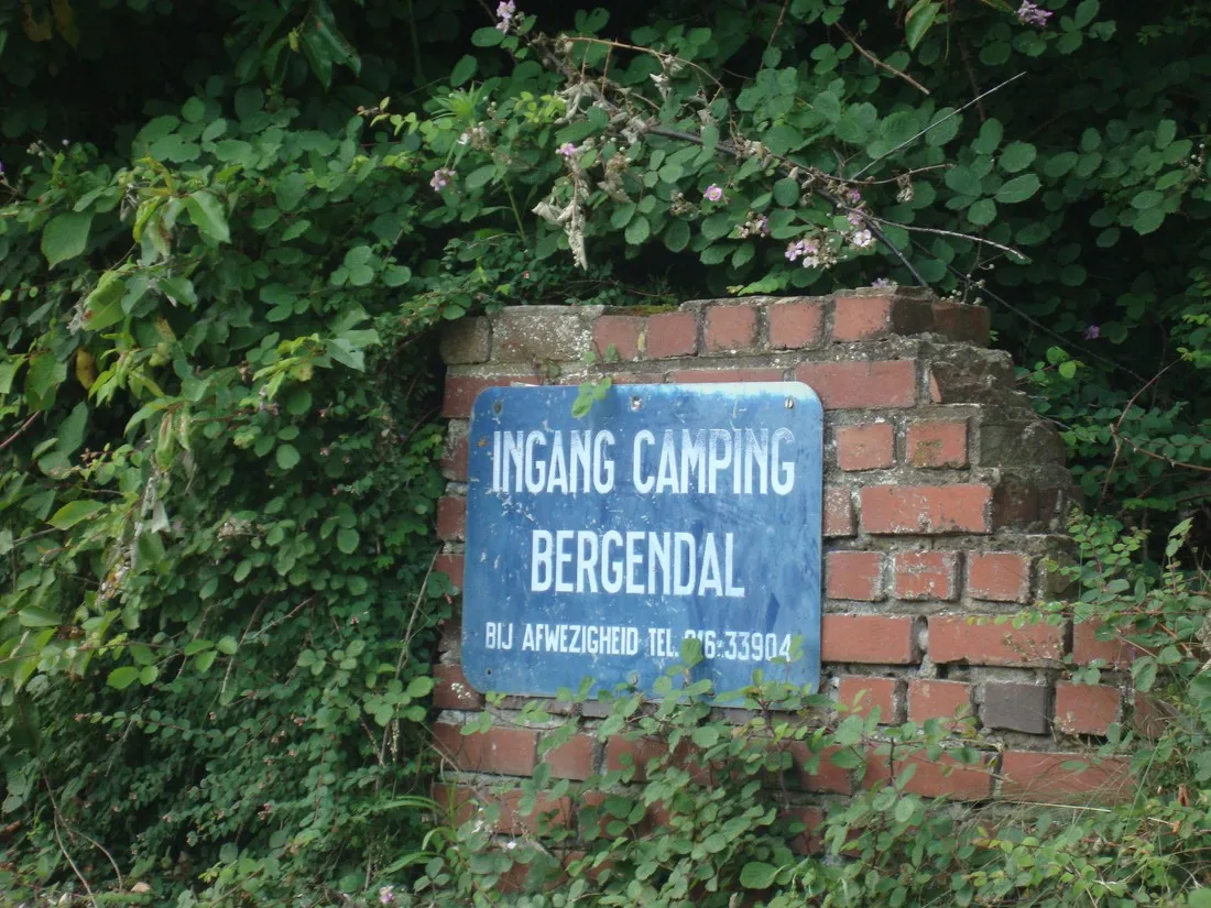 camping-bergendal-loonbeek-r22nj