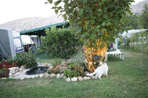camp-zablace-baska-qs5bp