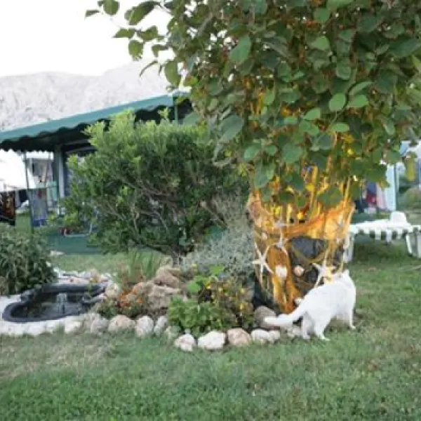 camp-zablace-baska-qs5bp