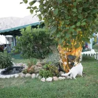 camp-zablace-baska-qs5bp