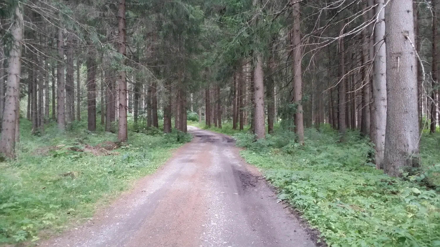 camping-lienzer-dolomiten-strassen-nwybo