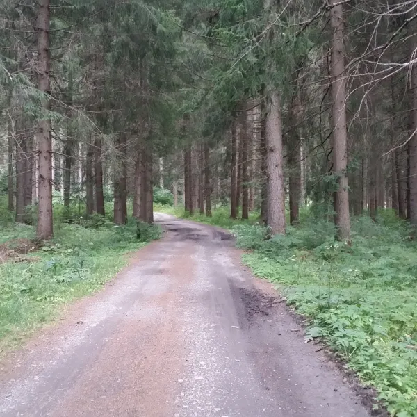camping-lienzer-dolomiten-strassen-nwybo