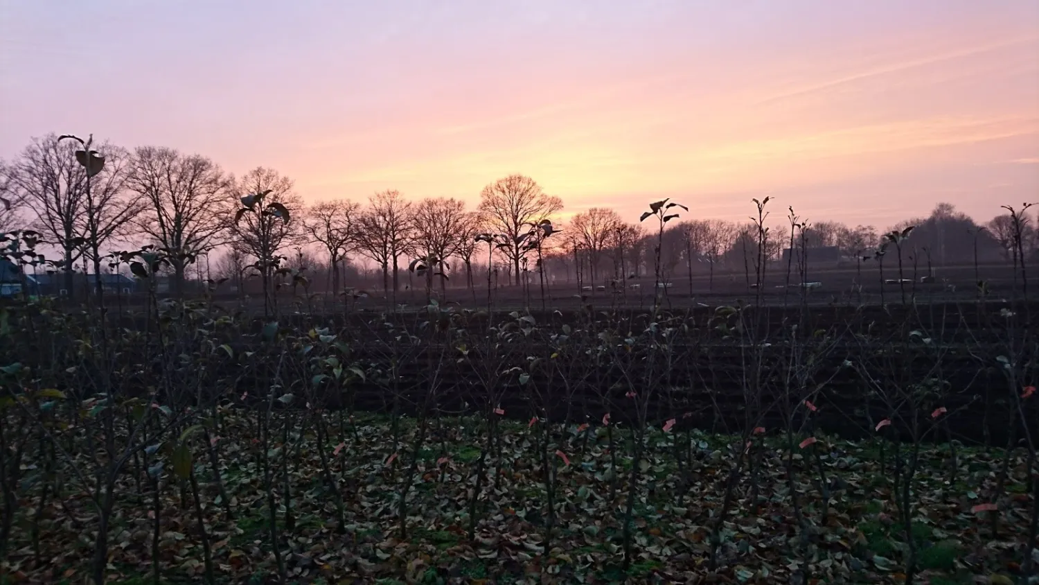 camping-bedafs-hofke-uden-kbxcr