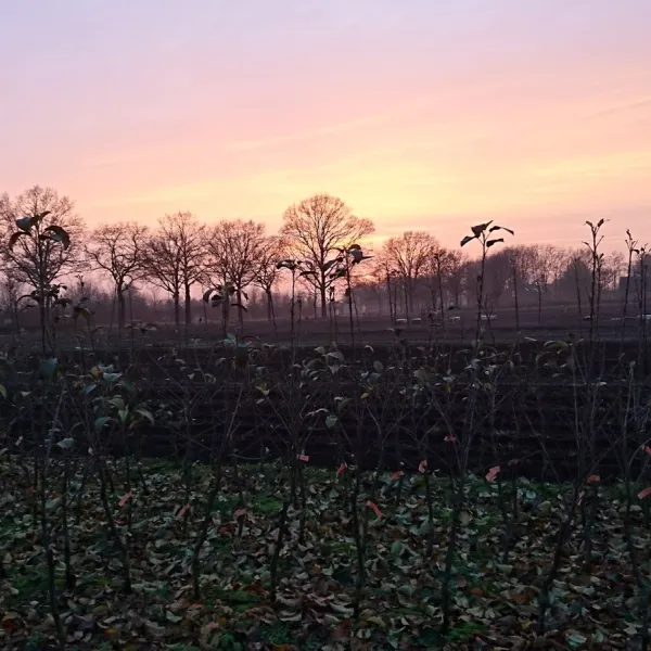 camping-bedafs-hofke-uden-kbxcr