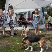 camping-de-krim-texel--de-cocksdorp-nhcpk