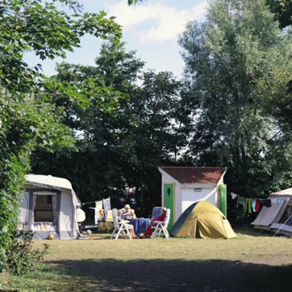 camping-de-krim-texel--de-cocksdorp-pjl36