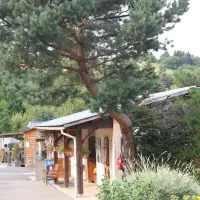camping-de-serrette-chambon-sur-lac-hm1tb