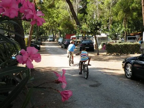 camping-le-bosquet-canet-plage-am0xu