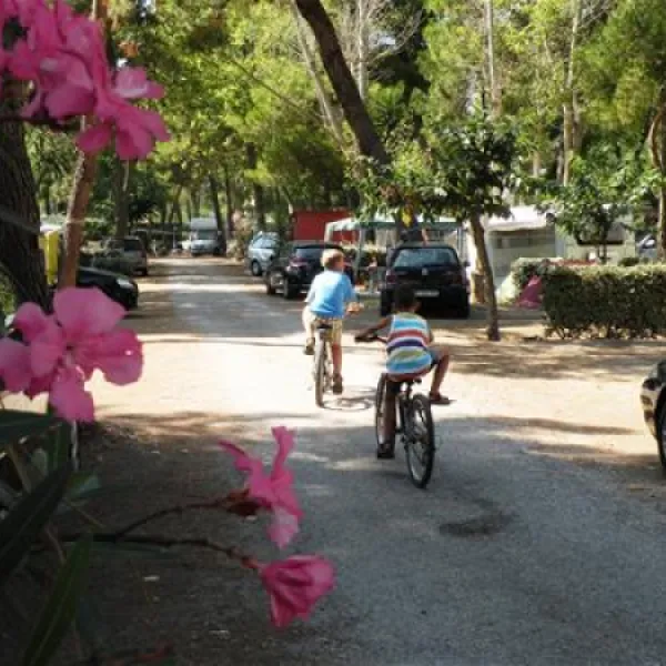 camping-le-bosquet-canet-plage-am0xu