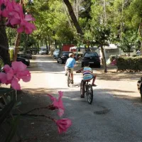 camping-le-bosquet-canet-plage-am0xu