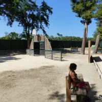 camping-le-bosquet-canet-plage-xzmlo