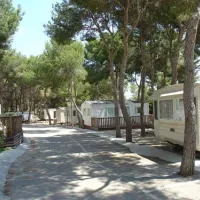 camping-moraira-moraira-alicante-iqtdu