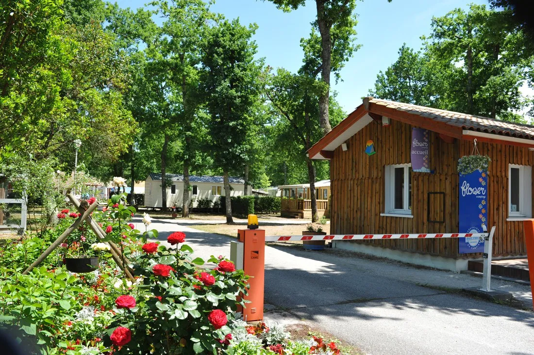 flower-camping-la-canadienne-ares-9uxwr