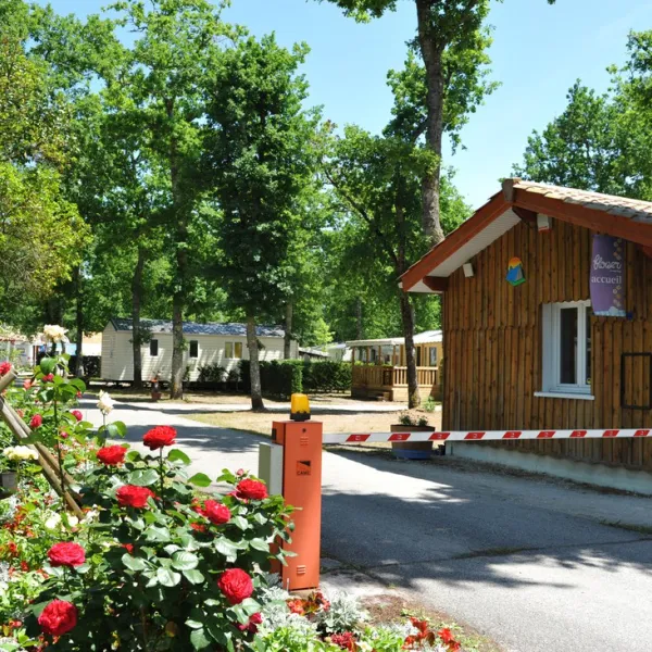 flower-camping-la-canadienne-ares-9uxwr