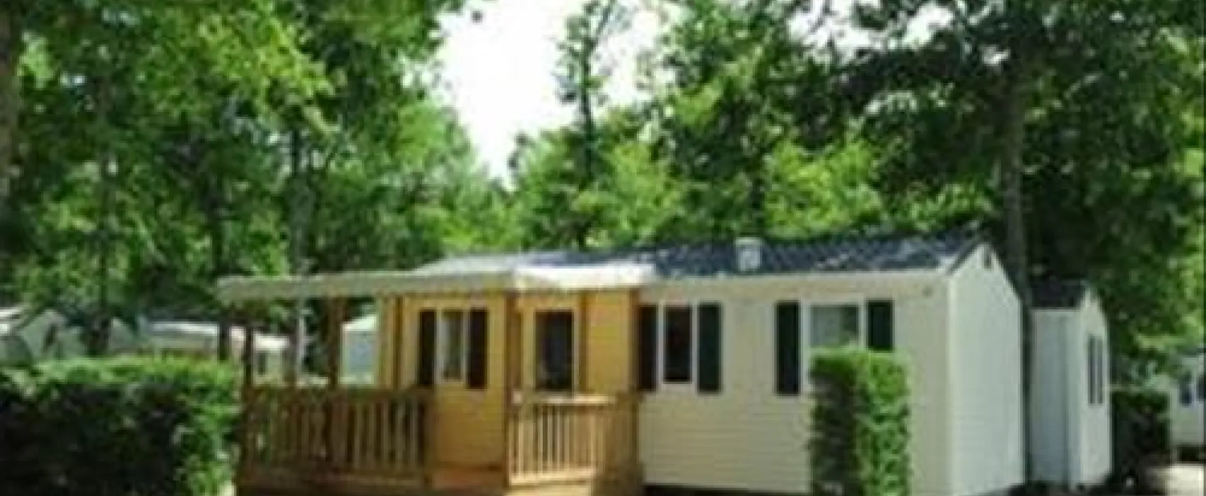 Flower Camping - La Canadienne  
