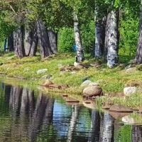 sele-camping-sele-z2uri
