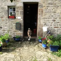 camping-ferme-du-bord-de-mer-gatteville-phare-i2efs