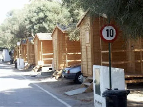 la-rana-verde-chiclana-de-la-frontera-9arvd