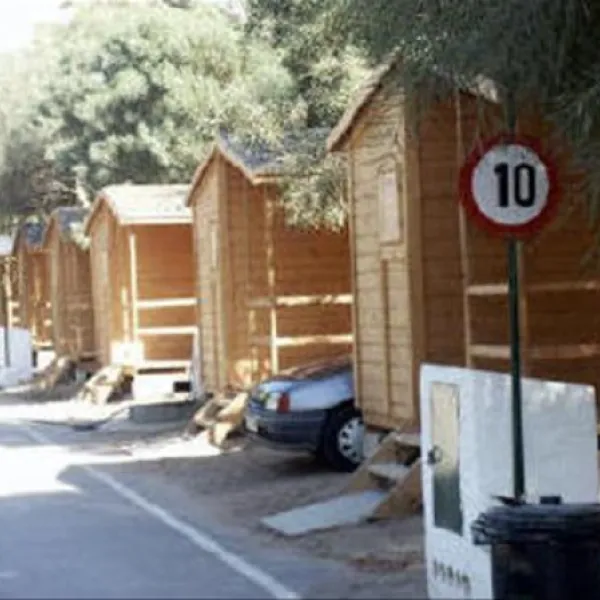 la-rana-verde-chiclana-de-la-frontera-9arvd