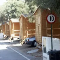 la-rana-verde-chiclana-de-la-frontera-9arvd