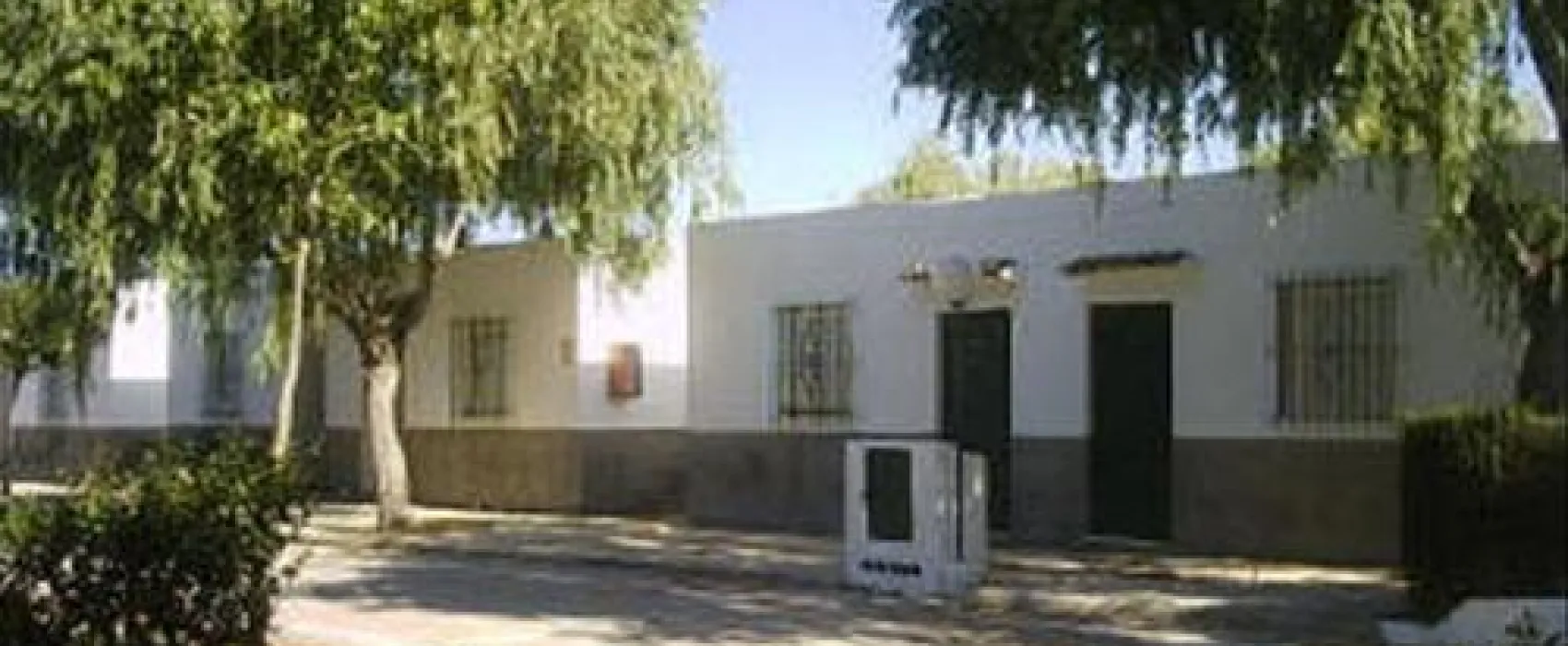 La Rana Verde