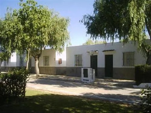 la-rana-verde-chiclana-de-la-frontera-bgmik