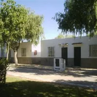 la-rana-verde-chiclana-de-la-frontera-bgmik