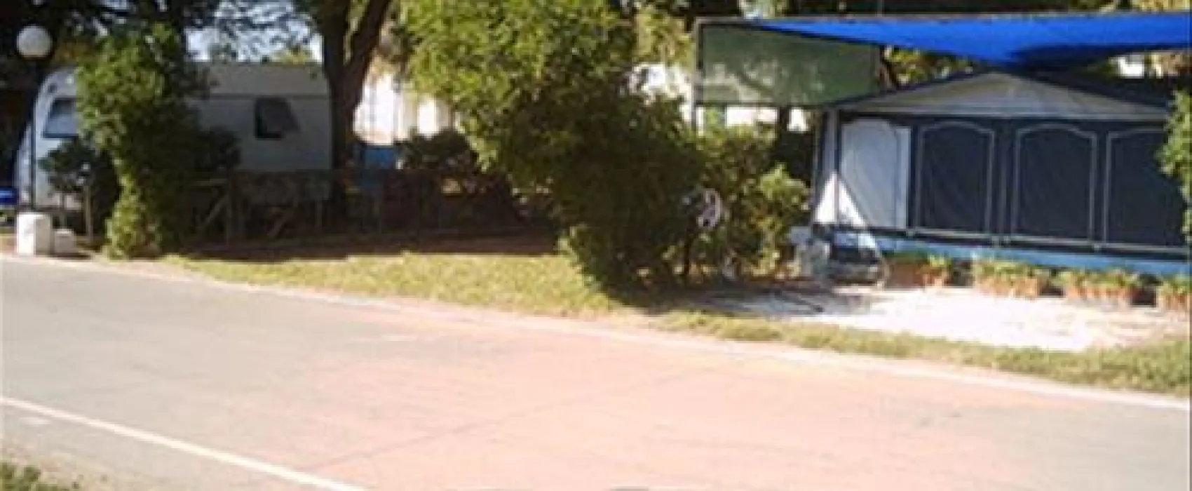 La Rana Verde