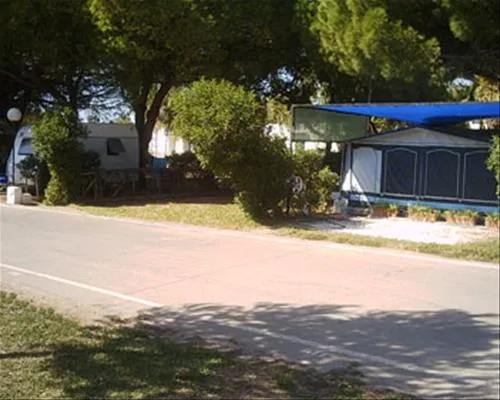 la-rana-verde-chiclana-de-la-frontera-nvul9