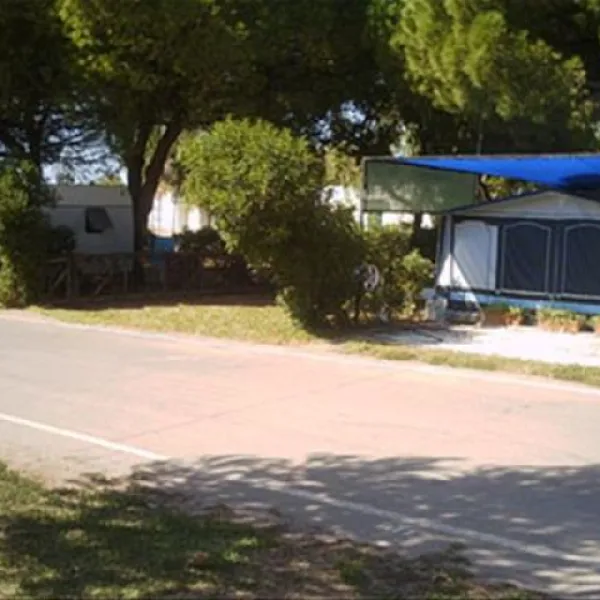 la-rana-verde-chiclana-de-la-frontera-nvul9