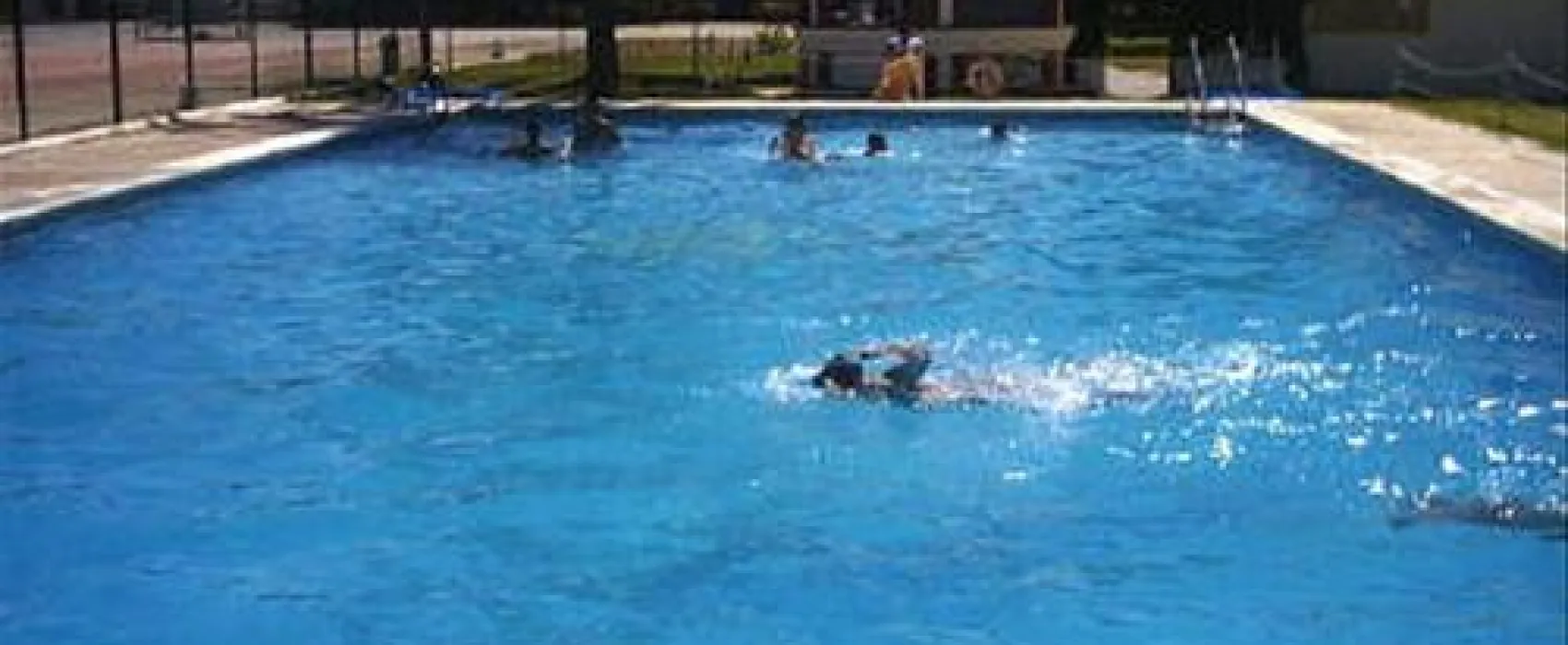 La Rana Verde