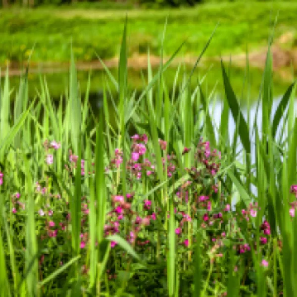 freizeitpark-klaukenhof-datteln-tw2zh