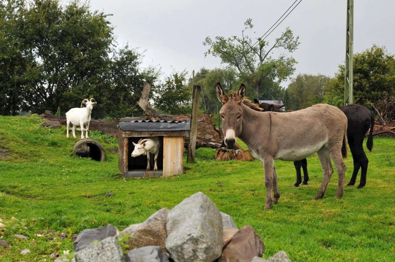 freizeitpark-klaukenhof-datteln-xpgsp