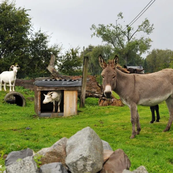 freizeitpark-klaukenhof-datteln-xpgsp