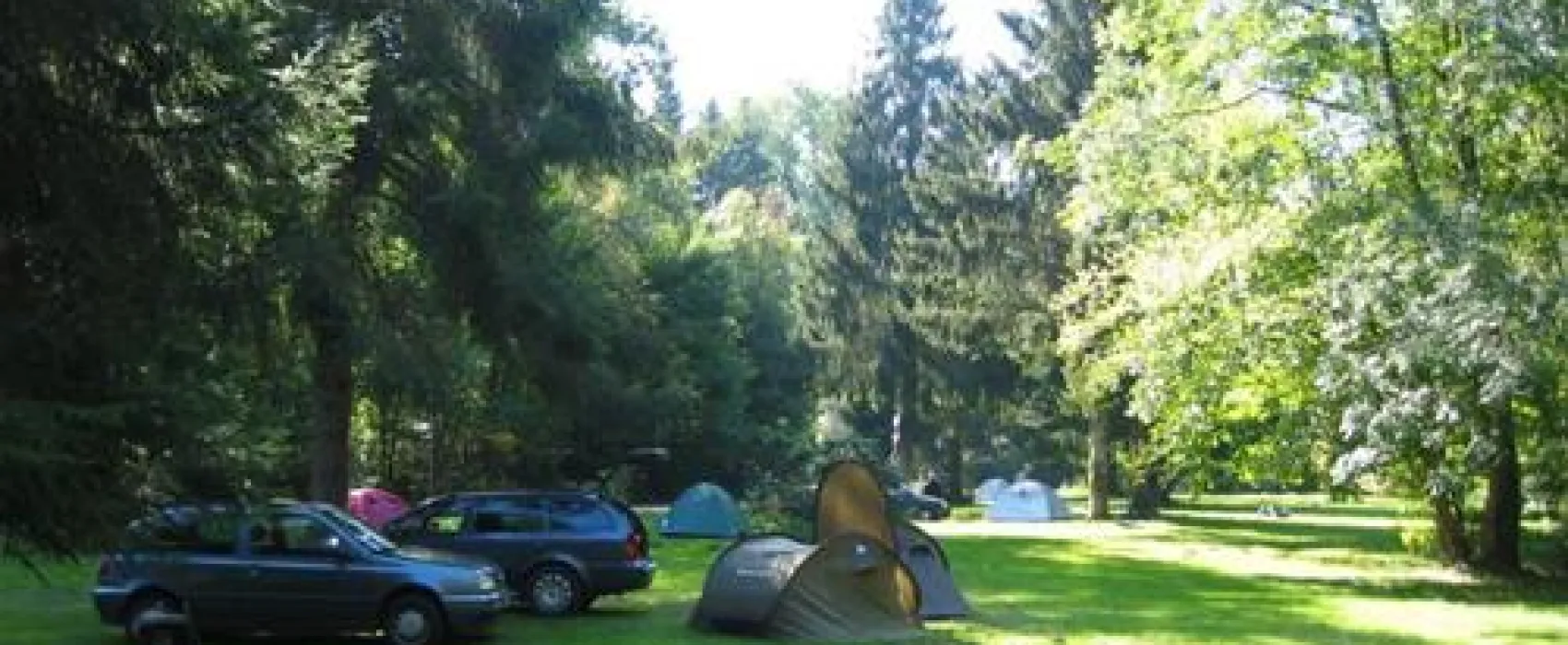 Camping Alaska