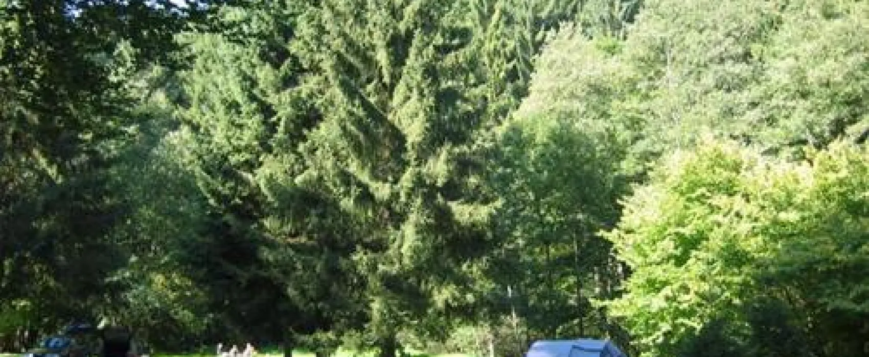 Camping Alaska