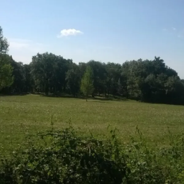 camping-la-ferme-de-rivet-tarn-3fjmy