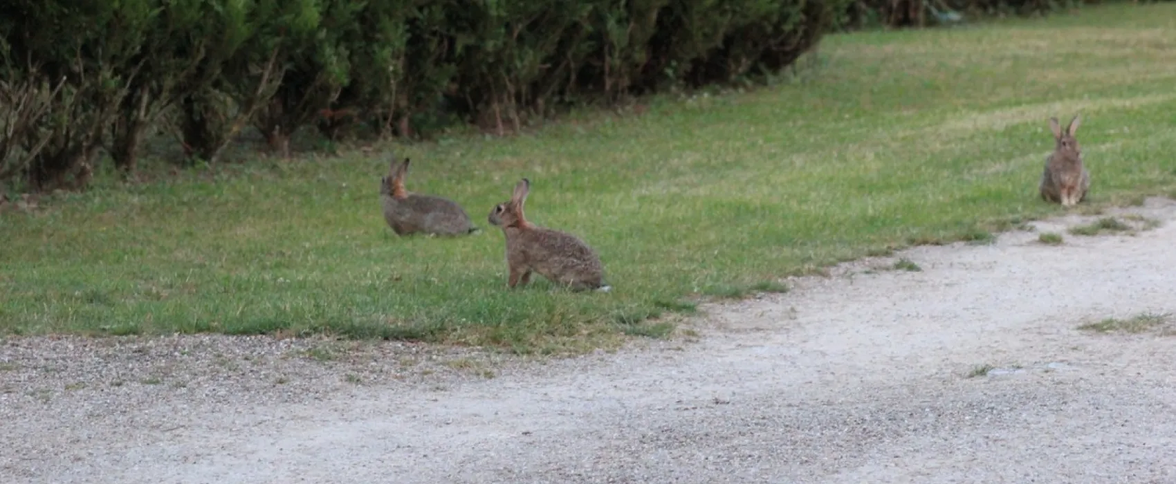 Camping La Pelouse
