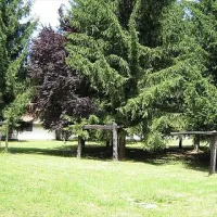 gunaras-camping-dombvr-neaxs