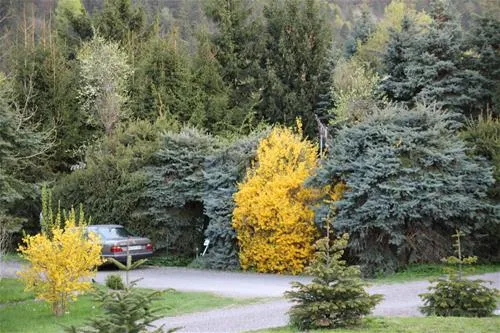 camping-himmelspforte-bodenwerder-ybwzv