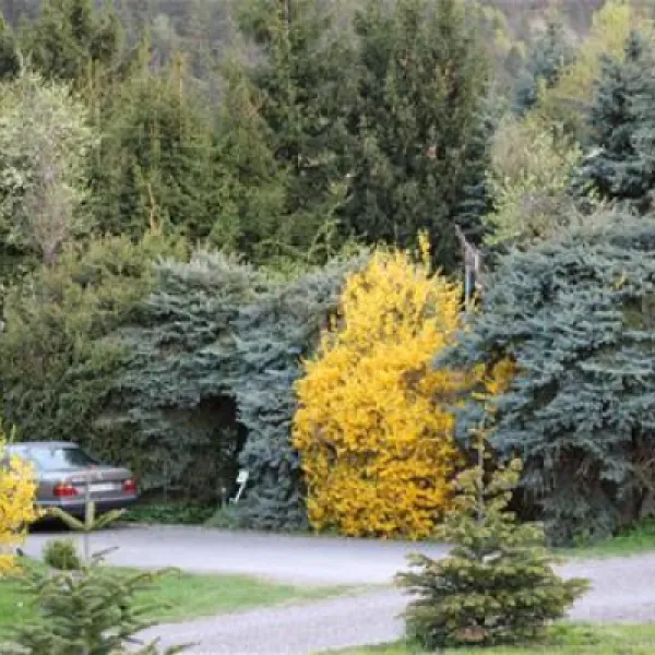 camping-himmelspforte-bodenwerder-ybwzv