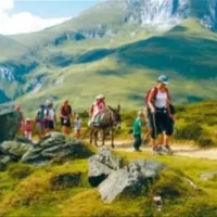 camping-du-lavedan-lau-balagnas-mmudz