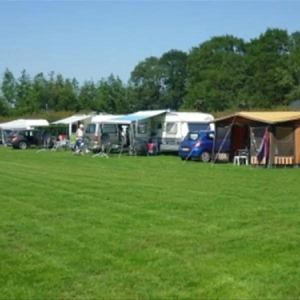 harmina-hoeve-sellingen-dwv6c