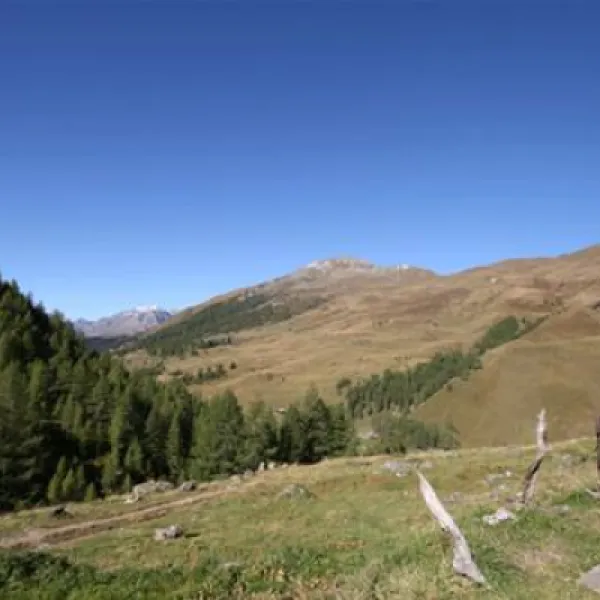 camping-am-see-gut-lindlerhof-moertschach-05t4t