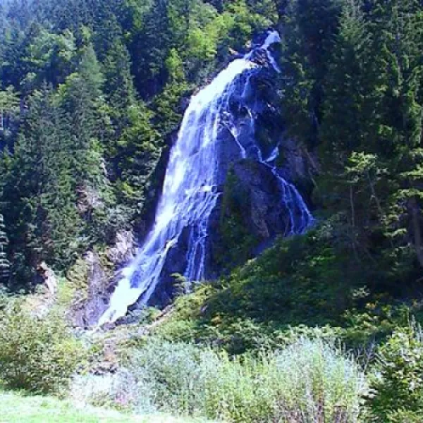 camping-am-see-gut-lindlerhof-moertschach-xxztk