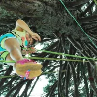 camping-les-pins-payrac-4e6v6