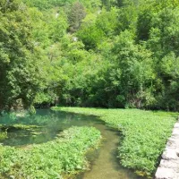 camping-les-pins-payrac-adt5v