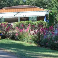 camping-les-pins-payrac-tg9yo