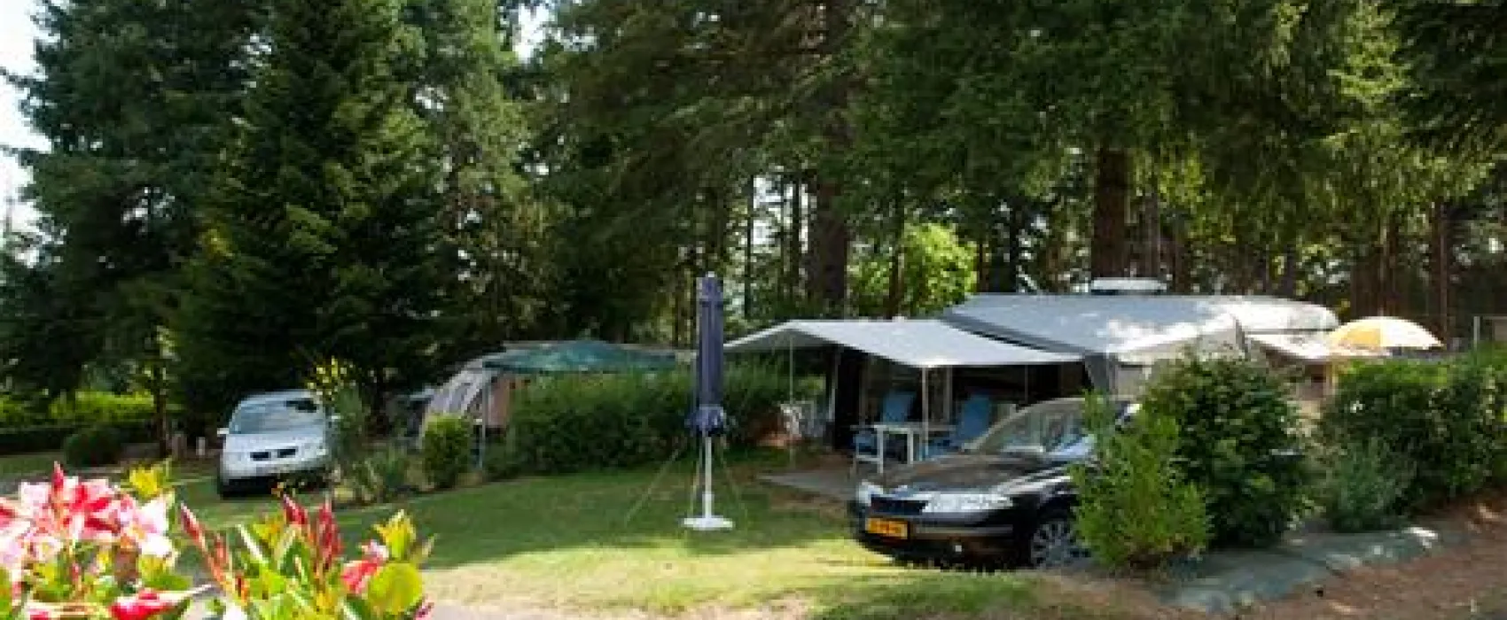 Camping - Les Pins  
