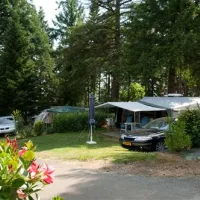 camping-les-pins-payrac-zs5pz